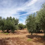 Apartamento Molino De Bular