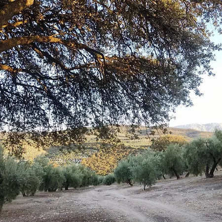 דירה Molino De Bular